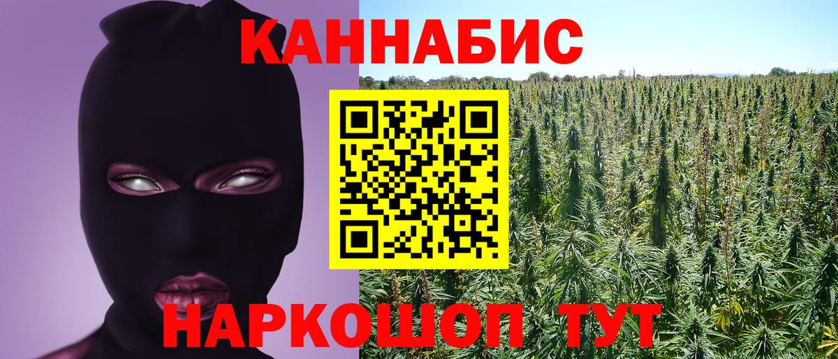 Котовск  Канабис семена  Вход с VPN  МАРИХУАНА White Widow  МАРИХУАНА индика 